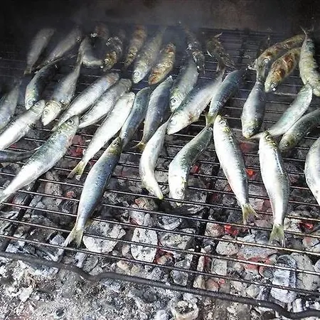 Bare Lägenhet Kastav