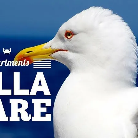 Appartamento Bare